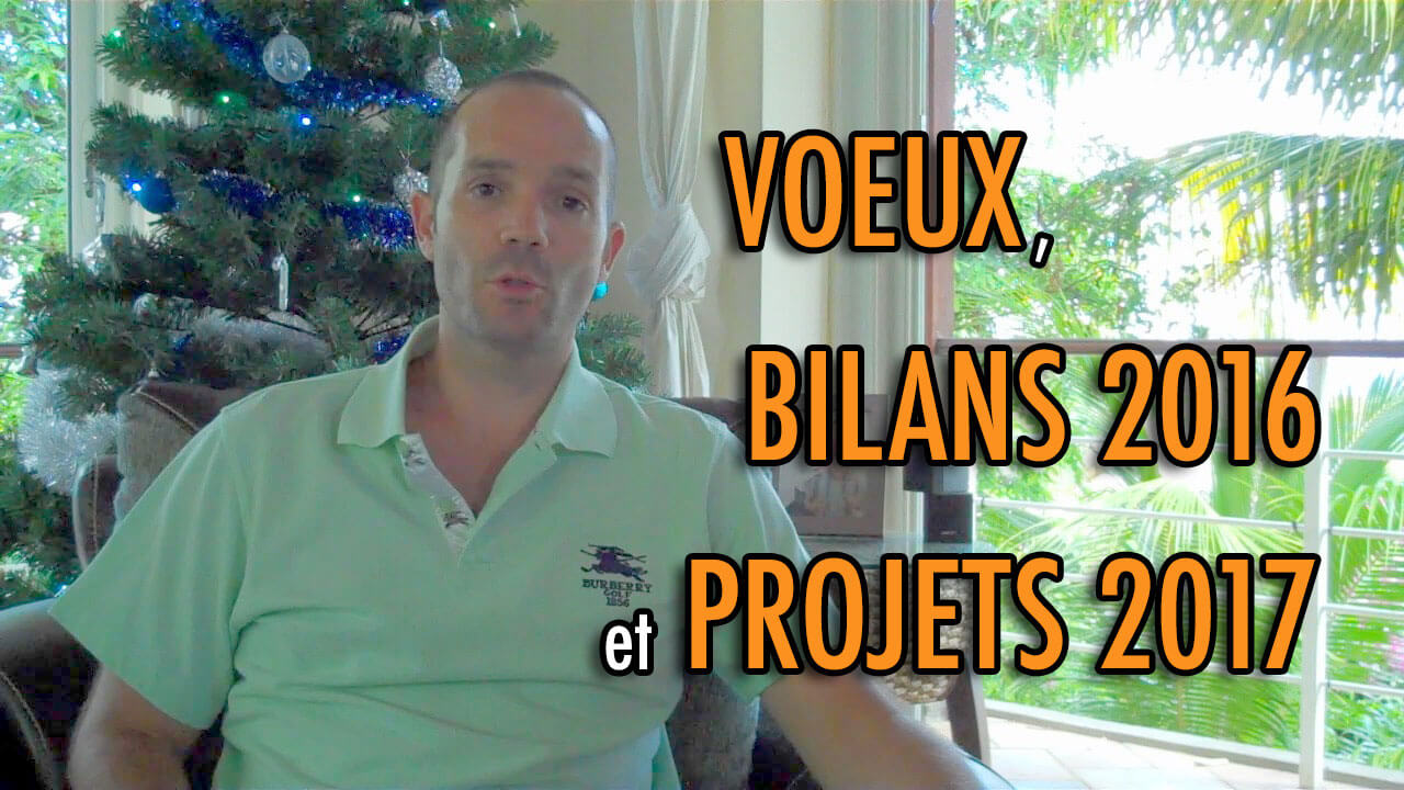 Voeux, bilans 2016 et projets 2017